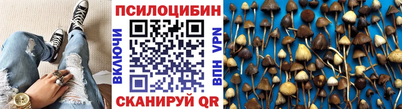Галлюциногенные грибы мицелий  где купить   Славск 